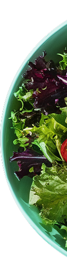 Contact Us right img